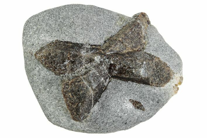 Twinned Staurolite Cross In Glittering Mica-Schist - Russia #240424